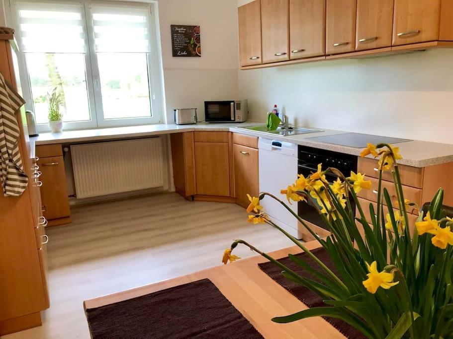 Ferienwohnung „Landidylle“ 스템베데 외부 사진